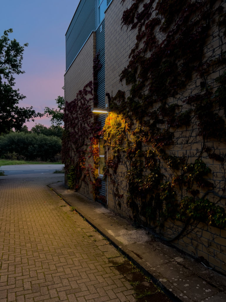 Insektenfreundliche Parkplatzbeleuchtung - IPH Hannover